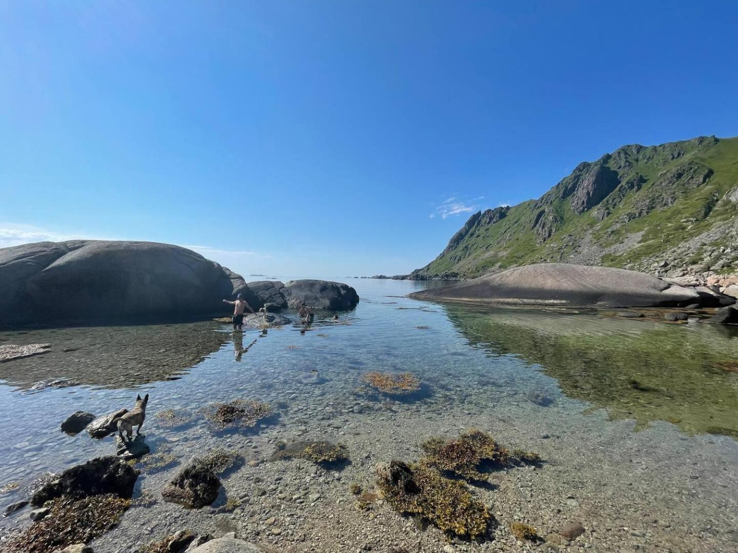 Lofoten seaview Ballstad Exterior foto